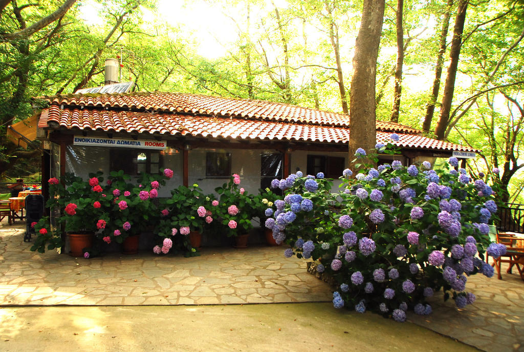 Tasoula Parselia Studios Therma  Habitación foto
