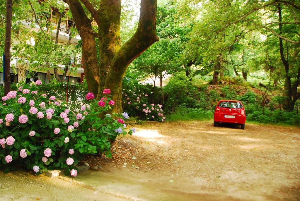 Tasoula Parselia Studios Therma  Exterior foto